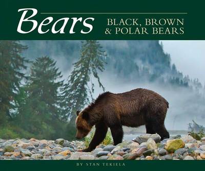  Bears : Black, Brown, And Polar Bears