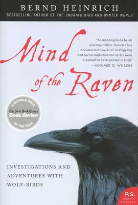  Mind Of The Raven