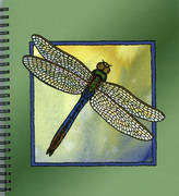 Go Wild! Dragonfly Journal