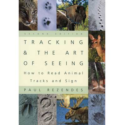  Tracking And The Art Of Seeing