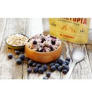 Trailtopia Blueberry Oatmeal