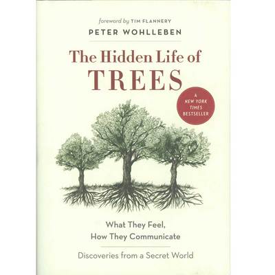  The Hidden Life Of Trees