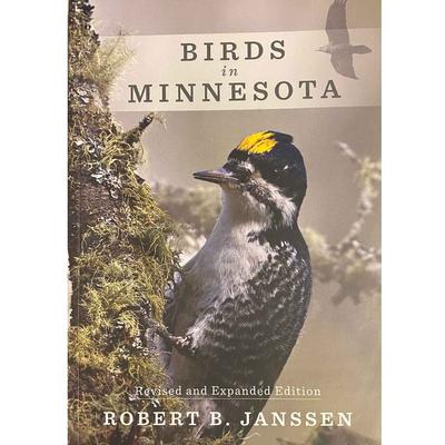  Birds In Minnesota