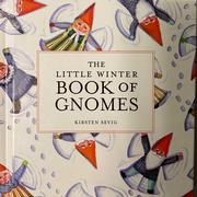 The Little Winter Book of Gnomes
