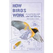 How Birds Work