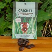  3 Cricketeers Dark Chocolate Covered Crickets