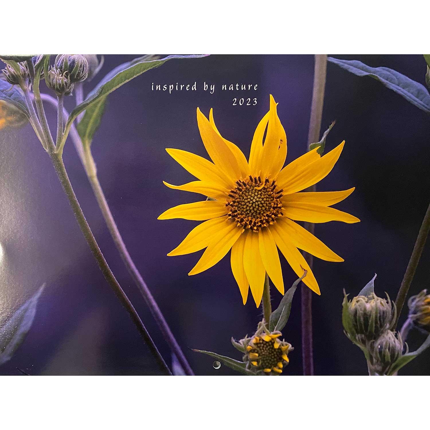 Inspired By Nature 2023 Calendar By Root River Photography | Boundary