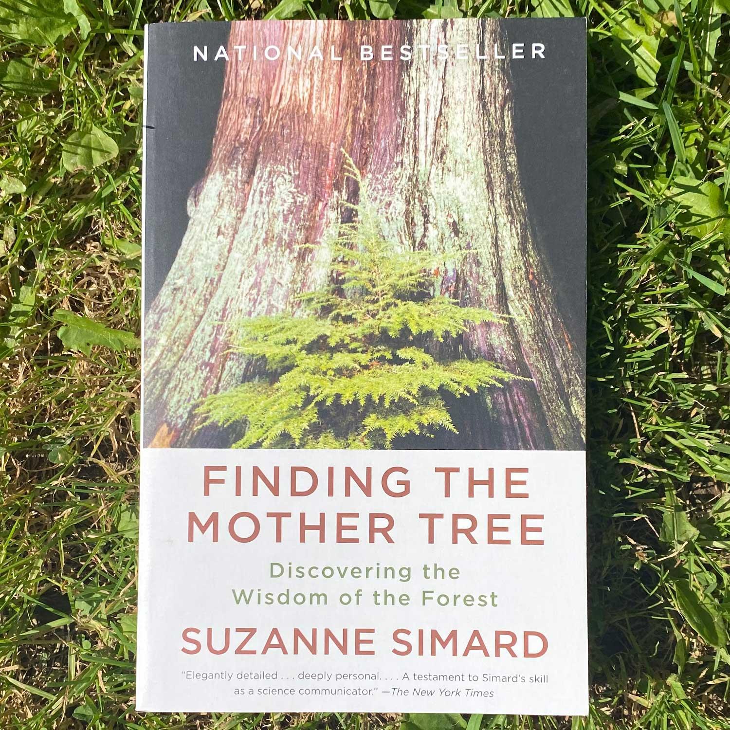 Finding the mother tree by suzanne simard boundary waters catalog