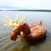 Float-eh Moose Float
