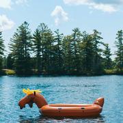 Float'eh Moose Party Float
