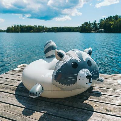  Float- Eh Raccoon Float