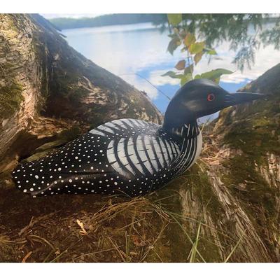 11 Inch Wooden Common Loon Carving 
