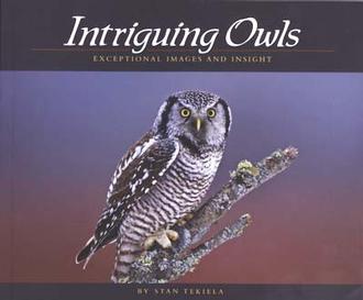  Intriguing Owls
