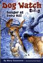 Danger at Snow Hill