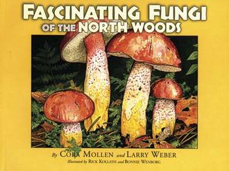  Fascinating Fungi Of The North Woods