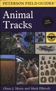 Animal Tracks Field Guide