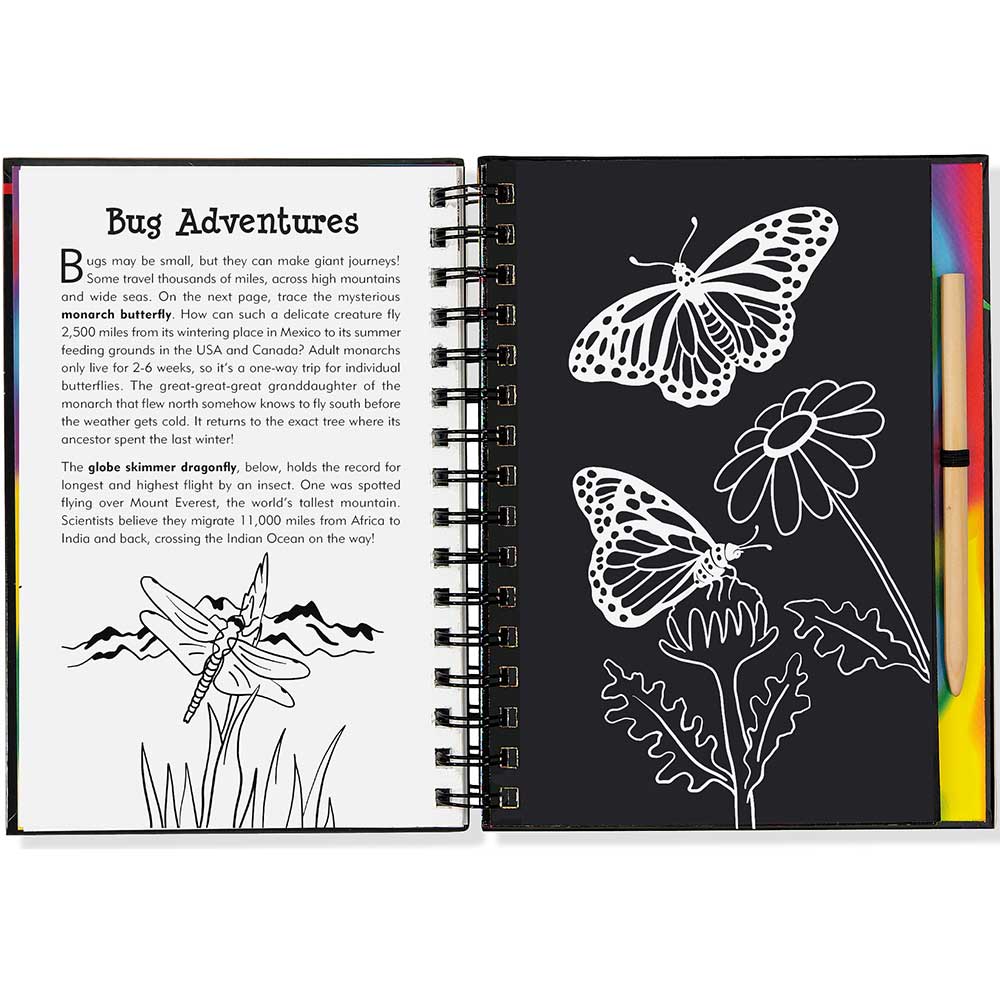 Scratch And Sketch Bugs  Boundary Waters Catalog