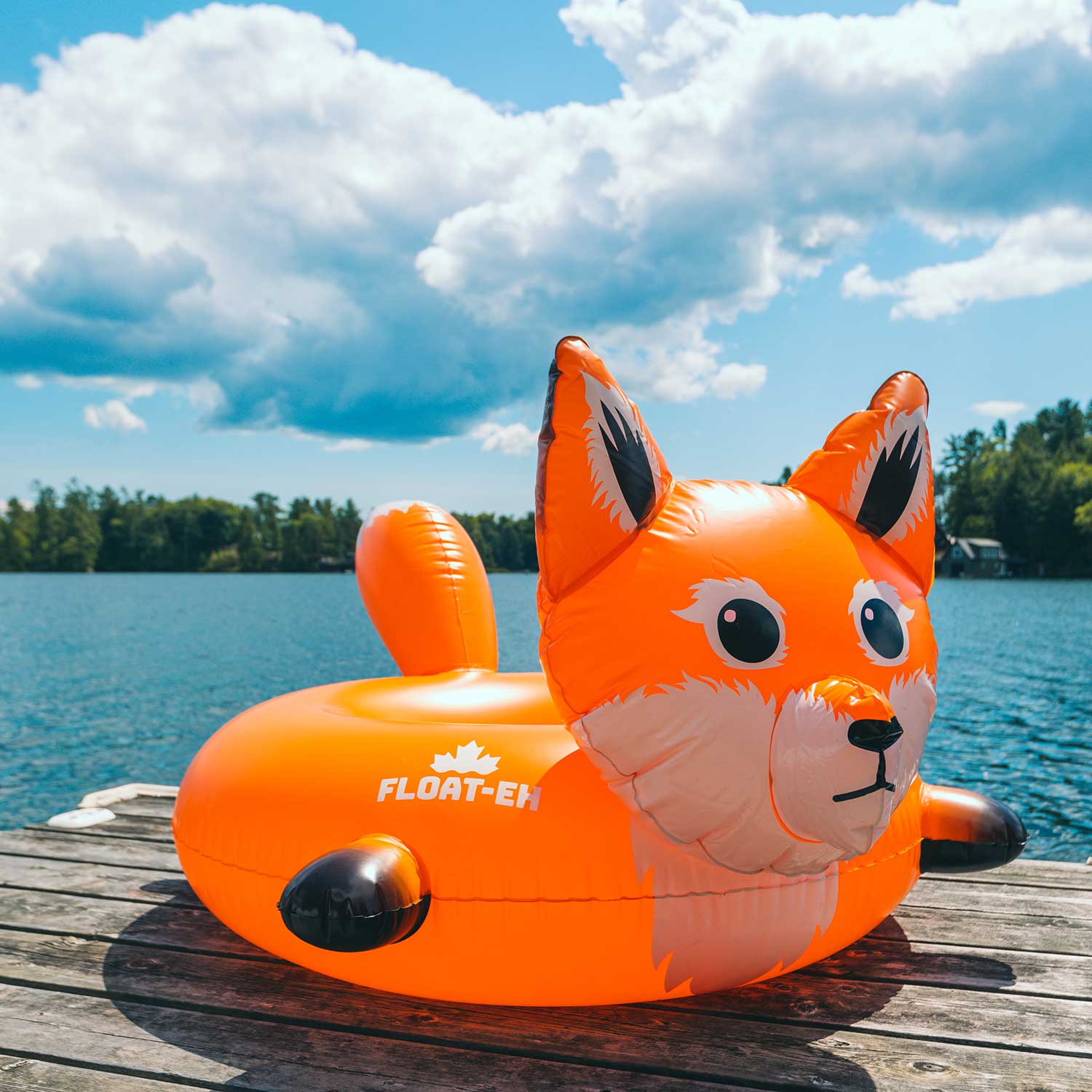 Fox best sale pool float