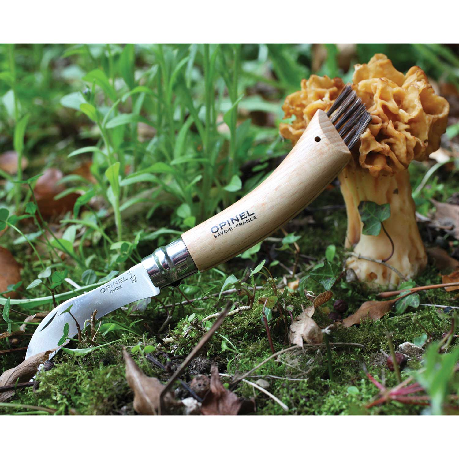 Opinel #8 Mushroom Knife
