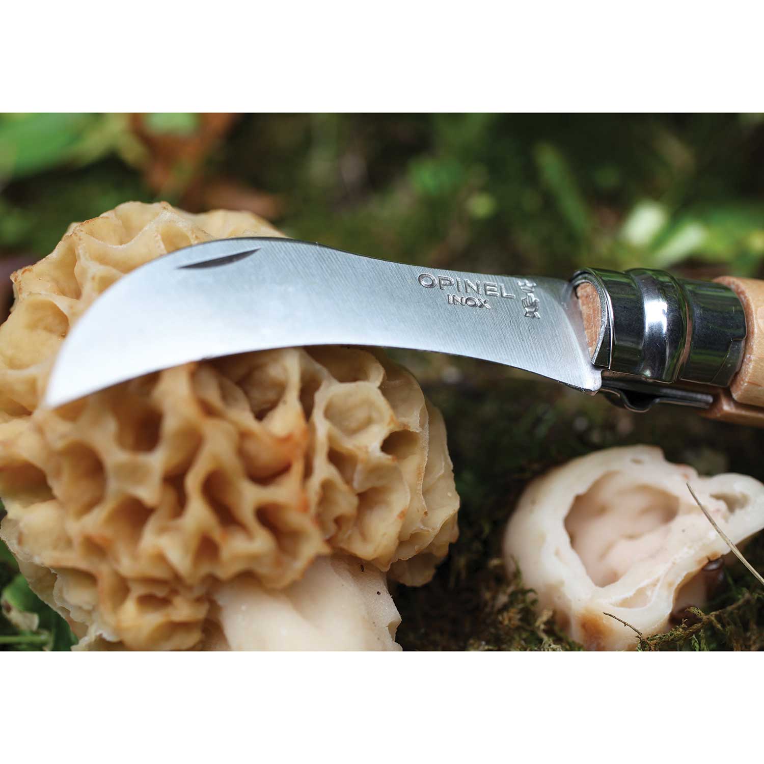 Opinel Inox No.08 Folding Mushroom Hunter's Knife with Brush from