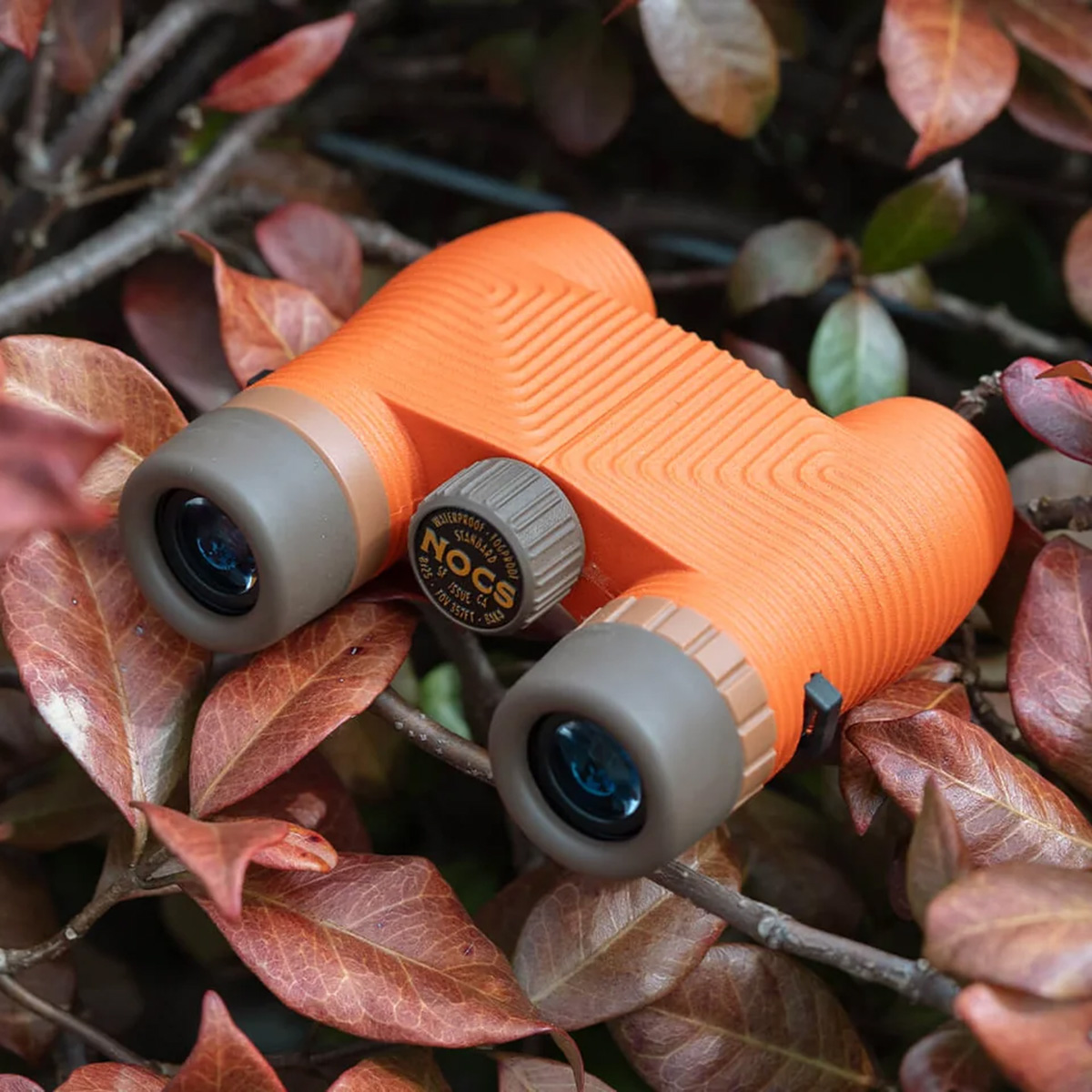 orange8x007.jpg